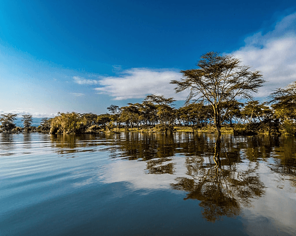 Lake Naivasha Feature Img