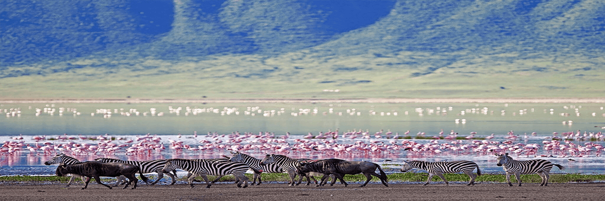 Kenya Tanzania Tour